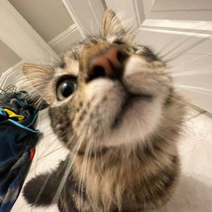 Meet your Posher, Aubrey